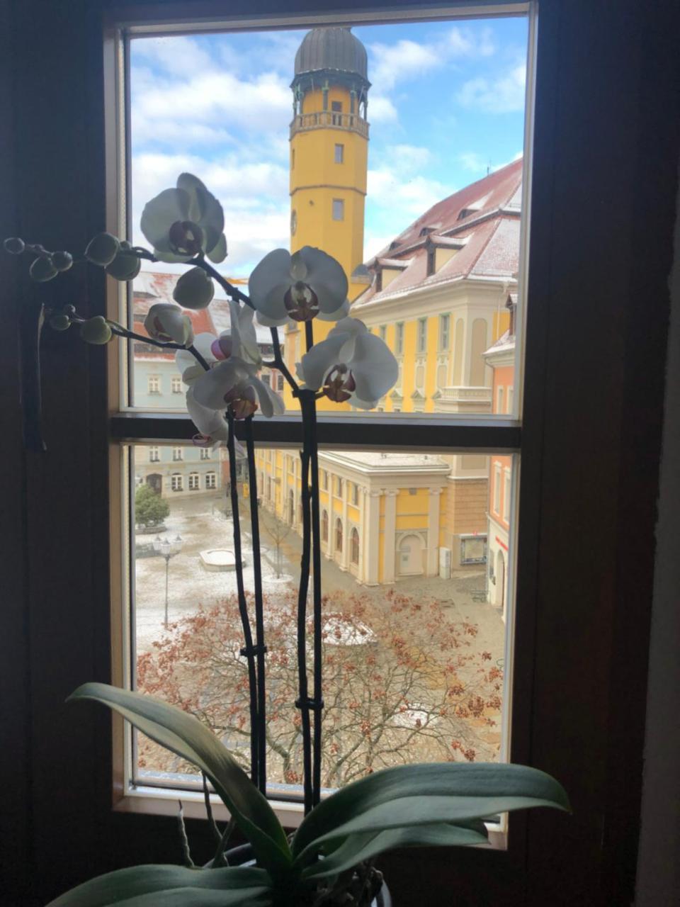 Zum Handtuch Bautzen Esterno foto